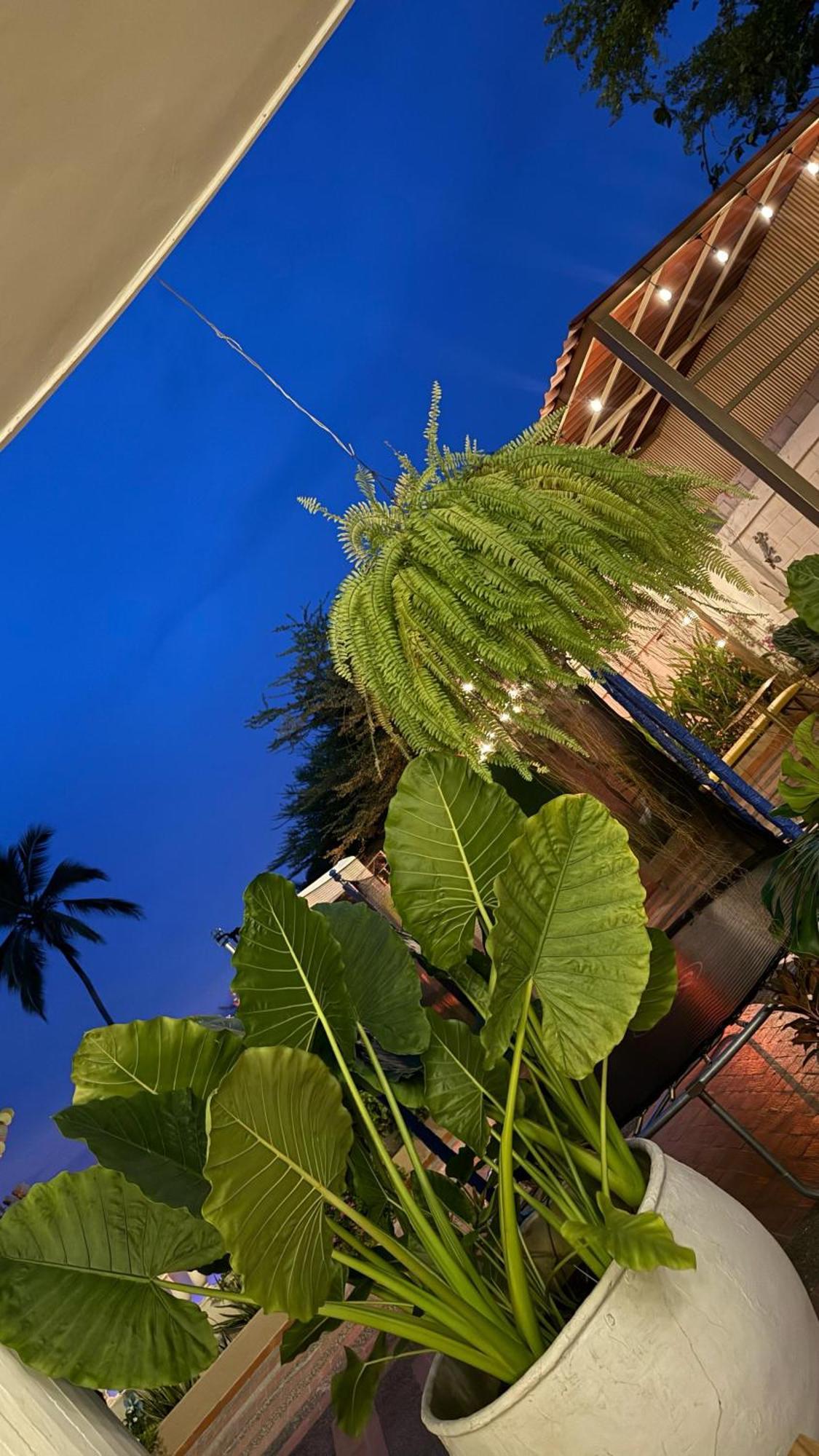 Hotel La Candelaria Room House Magangue Exterior photo